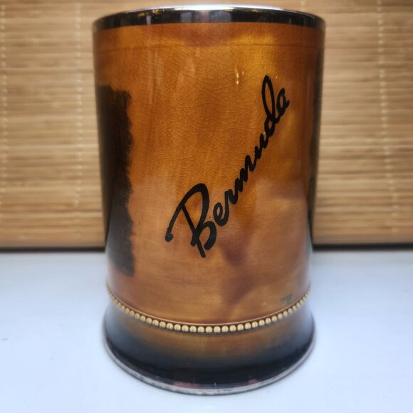 Royal Bradwell beer stein darts beer mug ceramic pint mug pub scene dart RARE - Picture 3 of 8